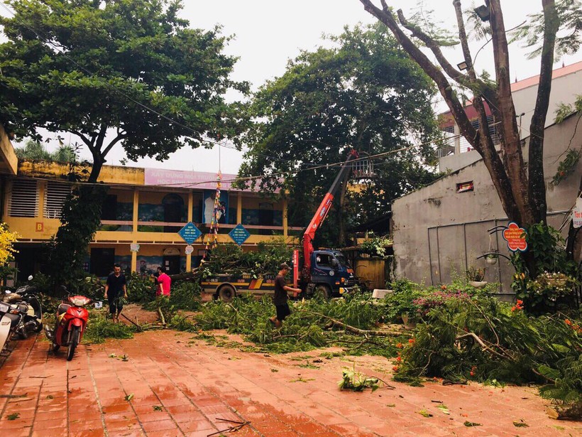Trường Tiểu học Chũ (Lục Ngạn – Bắc Giang) cắt tỉa cành cây trong sân trường. 