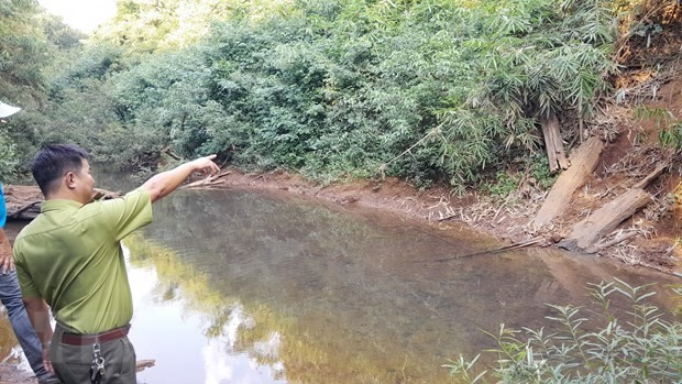 Dấu vết voi rừng di chuyển từ Khu Bảo tồn thiên nhiên Văn hóa Đồng Nai qua sông Mã Đà (Nguồn: TTXVN).