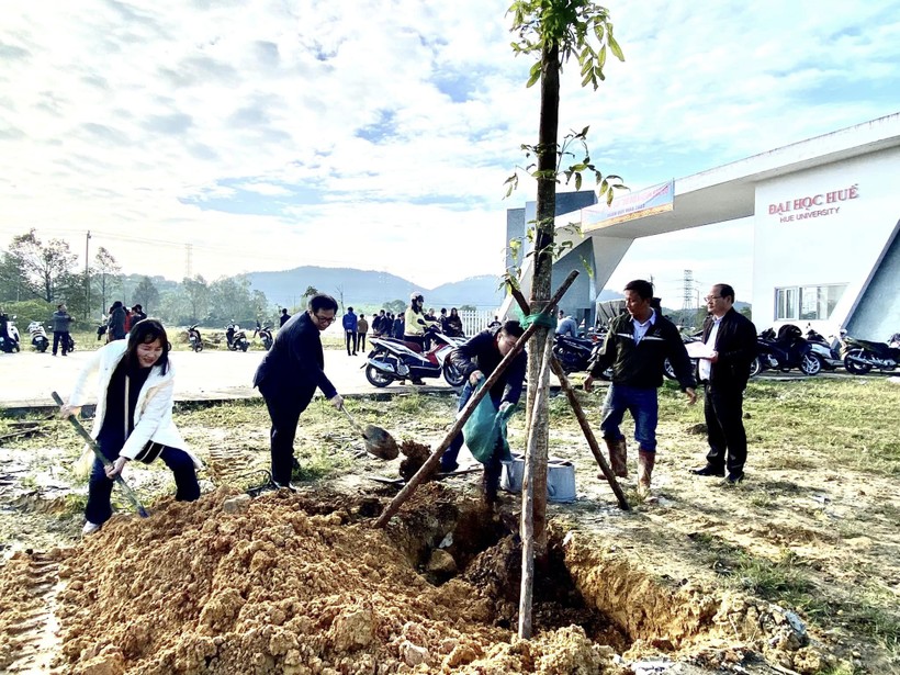 Ban Giám đốc Đại học Huế trồng cây xanh tại Khu quy hoạch đô thị Đại học Huế vào ngày Tết trồng cây (mùng 10 Tết). (Ảnh: A.H).