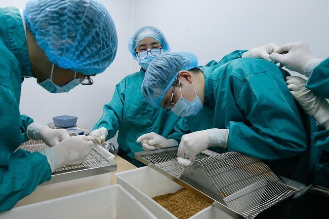Các nhà khoa học của Việt Nam đang nỗ lực, tích cực đẩy nhanh tiến độ nghiên cứu, thử nghiệm vắc xin COVID-19. Ảnh: ncov.moh.gov.vn