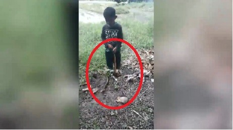 Video: Hết hồn cậu bé 5 tuổi chơi với... rắn 