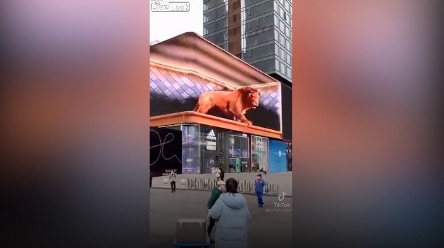 Sư tử như thật lao ra từ màn quảng cáo 3D khiến người đi đường một phen "hú vía"