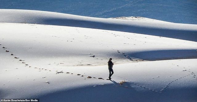 Video: Ngắm cảnh sa mạc Sahara phủ đầy băng tuyết hiếm hoi