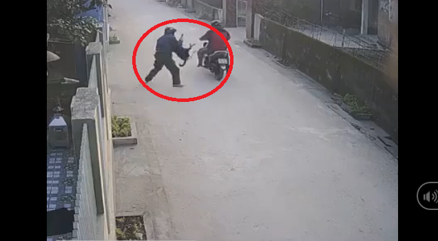 Video: 2 thanh niên đi xe máy giữa ban ngày dùng súng bắn điện trộm chó