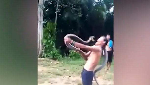 Video: Người đàn ông trêu đùa "chơi" với rắn, bất ngờ bị rắn độc cắn tử vong