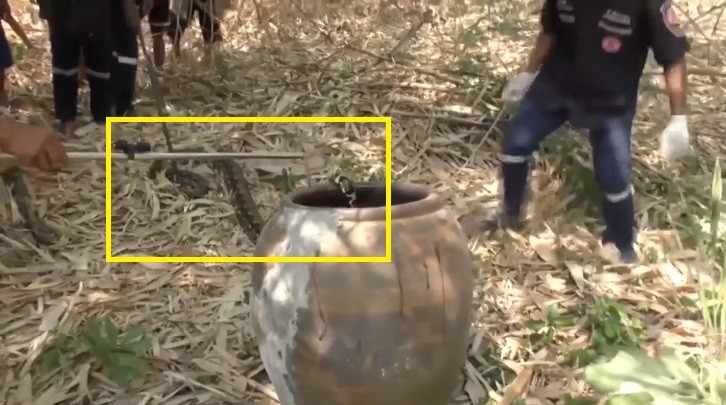 Video: Kịch tính bắt hai con trăn dài gần 4 mét đang quấn lấy nhau