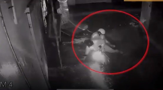 Video: Xe máy tụt xuống rãnh thoát nước đang thi công bị ngập ở Hà Nội