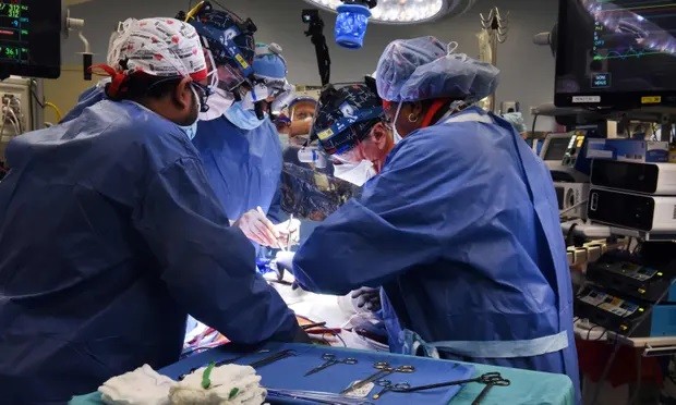 Các bác sĩ phẫu thuật thực hiện cấy ghép tim từ một con lợn biến đổi gen cho bệnh nhân David Bennett. Ảnh: Trường Y Đại học Maryland.
