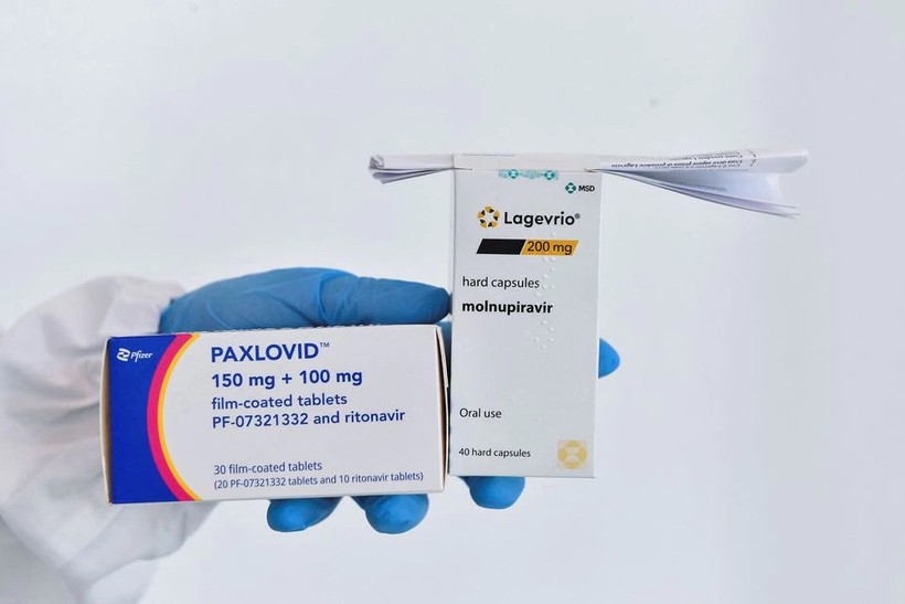 Thuốc điều trị Covid-19 Paxlovid và Molnupiravir. Ảnh: Reuters.