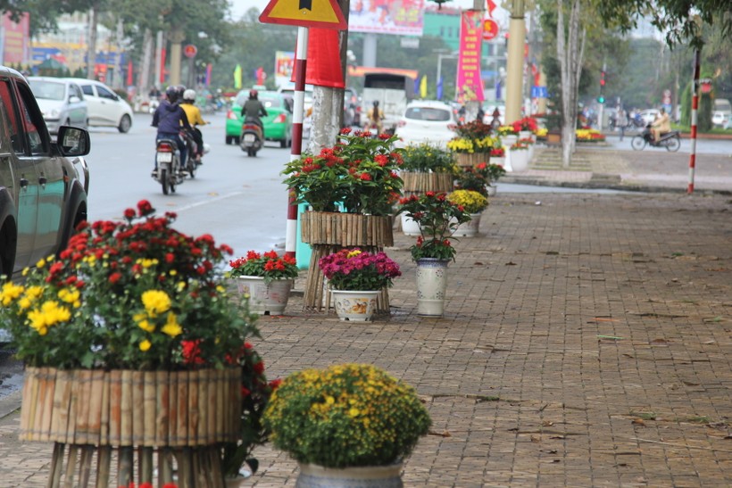 Sau buổi đêm, nhiều giỏ hoa trang trí trên đường phố Vinh (Nghệ An) biến mất.