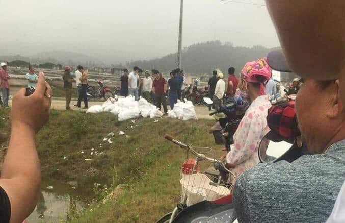 Hình ảnh đăng tải trên mạng xã hội cho rằng cơ quan chức năng thu giữ gần 1 tấn ma túy ở xã Quỳnh Thuận, huyện Quỳnh Lưu.