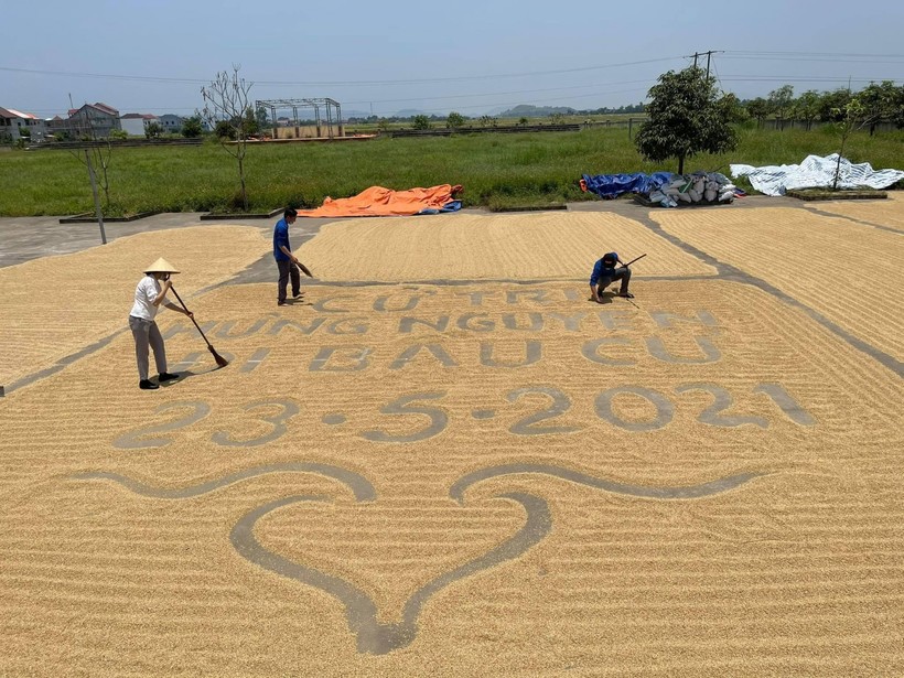 Người dân huyện Quỳnh Lưu, Nghệ An biến sân phơi lúa thành khẩu hiệu tuyên truyền bầu cử