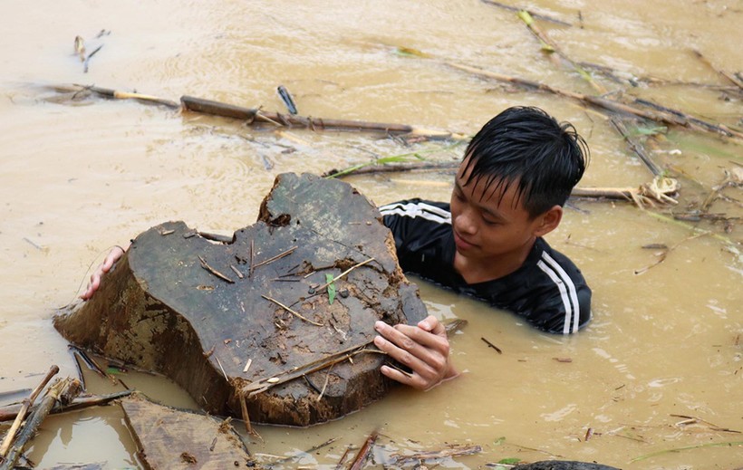 Trẻ em ở Nghệ An liều mình vớt củi vào mùa mưa lũ. Ảnh minh họa.