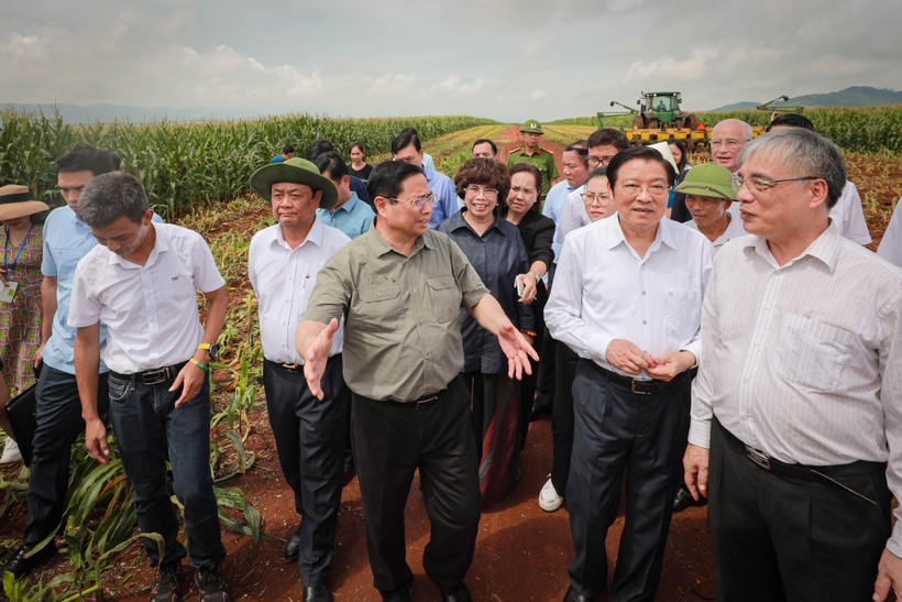Thủ tướng Phạm Minh Chính cùng đoàn công tác thăm vùng sản xuất nông nghiệp công nghệ cao tại tỉnh Nghệ An.