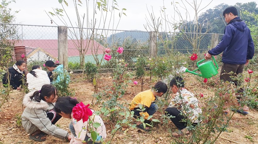 Thầy trò tham gia Tết trồng cây bằng việc chăm sóc, tưới nước cho vườn hoa hồng trong khuôn viên trường. Ảnh: NTCC