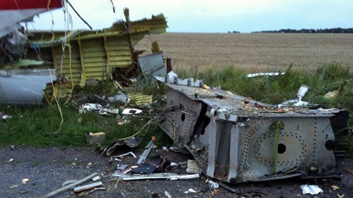 Xác máy bay MH17 trên cánh đồng ở đông Ukraine. Ảnh: RT.