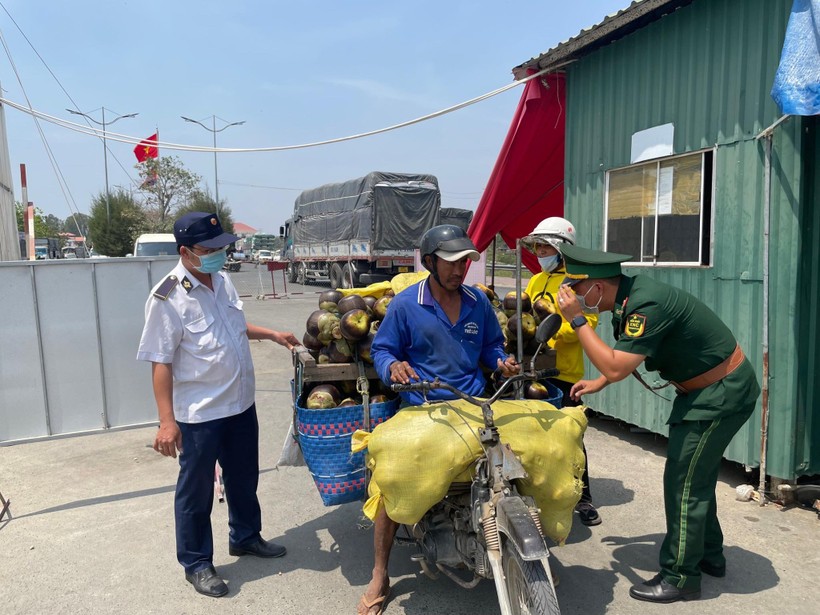 Biên phòng tỉnh An Giang tăng cường kiểm tra, quyết không để dịch cúm A (H5N1) xâm nhập qua đường biên giới.
