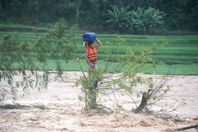 Anh Phạm Bá Huy (26 tuổi) mắc kẹt trên ngọn cây giữa dòng sông Luồng.