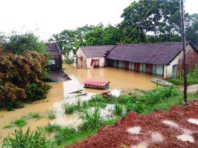 Nước sông Cầu Chày dâng cao, khiến hàng chục hộ dân ở xã Quảng Phú, huyện Thọ Xuân (Thanh Hóa) bị ngập sâu.