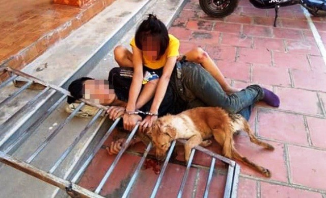 Một cặp nam, nữ ở huyện Hậu Lộc (Thanh Hóa) đi trộm chó đã bị người dân bắt giữ, giao nộp công an.