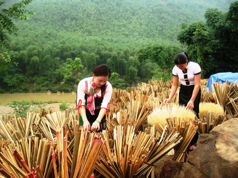 Nghề khai thác nan thanh từ nứa, vầu đã đem lại nguồn thu nhập ổn định cho người dân ở xã Trung Hạ, huyện Quan Sơn.