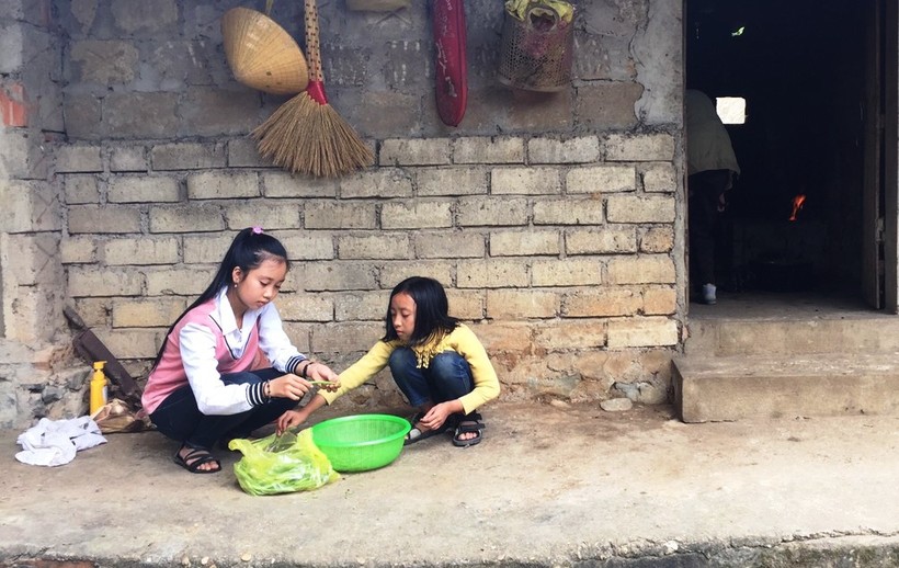 Hai chị em bé gái Lê Thị Anh Thư (phải) và Lê Thị Lan Anh đang nhặt rau giúp bà nội.