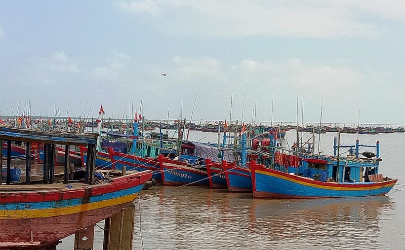 Tàu cá của ngư dân xã Ngư Lộc (Hậu Lộc, Thanh Hóa) về bến. Ảnh: TL.