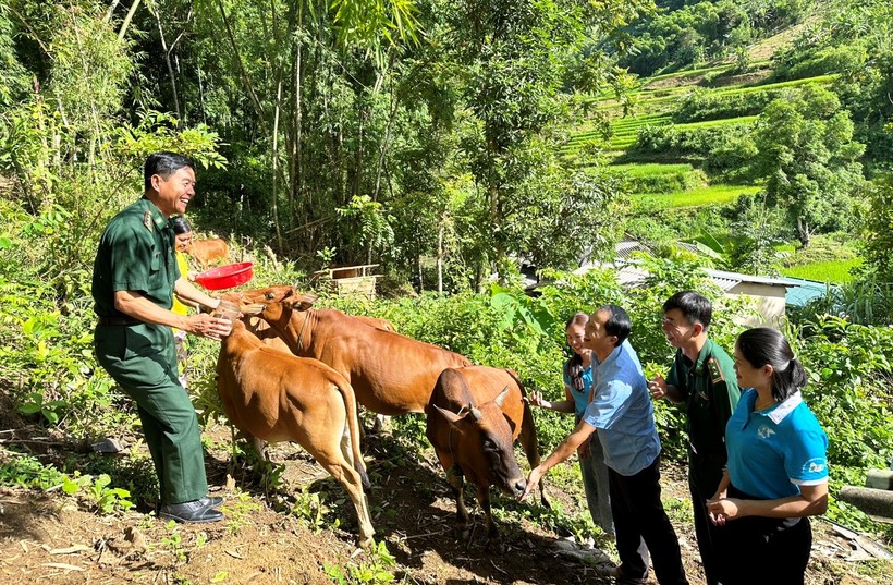 Hỗ trợ bò sinh sản cho phụ nữ nghèo ở xã Mường Chanh, Mường Lát (Thanh Hóa). Ảnh: TL.