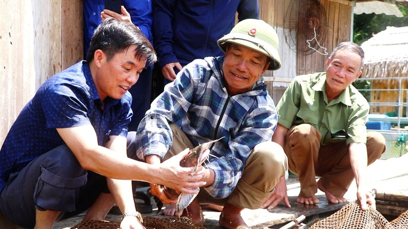 Ông Ngô Sĩ Tâm (trái) - Bí thư Đảng ủy xã Trung Sơn (Quan Hóa, Thanh Hóa) kiểm tra mô hình nuôi cá lăng trong lồng, bè ở lòng hồ thủy điện Trung Sơn. (Ảnh: HĐ)