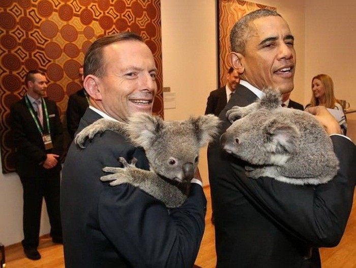 Các lãnh đạo G-20 chụp ảnh với gấu Koala