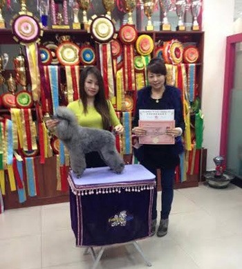 Nguyễn Thùy Linh (trái) tốt nghiệp khóa học chăm sóc làm đẹp chó, mèo tại Trung Quốc.