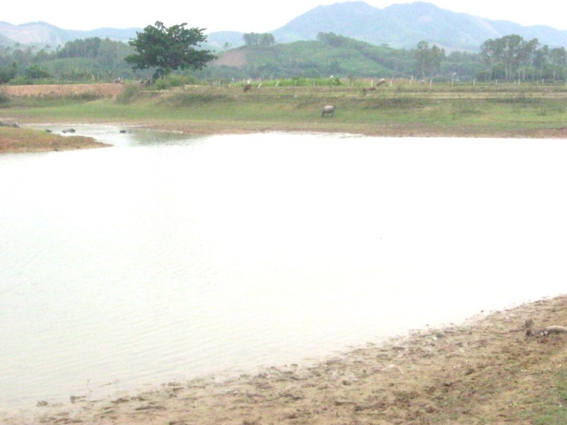 Hiện trường nơi em Vũ Thị Tâm bị đuối nước.