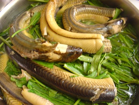 Ăn thịt lươn không đúng cách rất dễ nhiễm ký sinh trùng