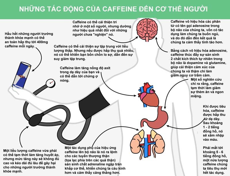 Những tác động kinh ngạc của caffeine lên cơ thể người