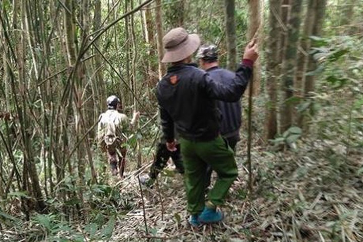 Lực lượng chức năng tìm kiếm anh Lộc bị mất tích trong rừng sâu