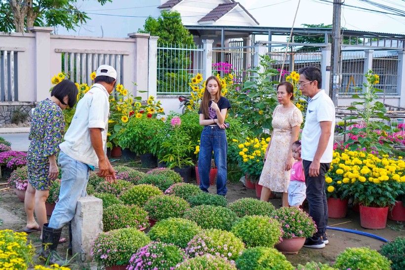 Giao thông thuận lợi, người dân có thể đến tận vườn để tham quan và mua hoa Tết tại làng hoa.