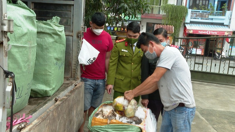 Hơn 1 tấn nội tạng không rõ nguồn gốc xuất xứ bị lực lượng chức năng tỉnh Thừa Thiên Huế bắt giữ.