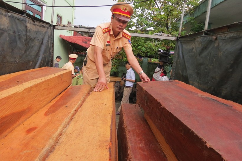 Trung tá Nguyễn Hoàng Vũ - Đội trưởng Đội Tuần tra Kiểm soát số 1 Phòng CSGT Thừa Thiên Huế đang kiểm kê số lượng gỗ Dạ Chồn vừa bắt giữ