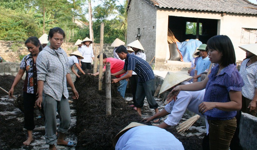 Đào tạo nghề trồng nấm cho LĐNT.