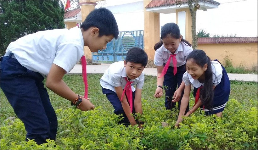 Học sinh Trường TH Hương Lâm (Phong Điền, Thừa Thiên – Huế) chăm sóc cây xanh trong trường. Ảnh: IT