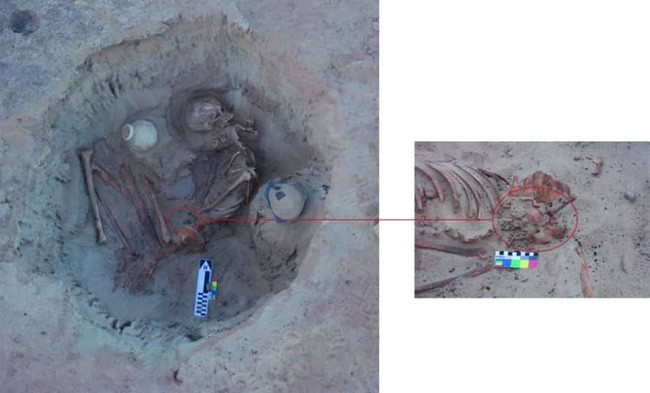 Hài cốt người phụ nữ có niên đại 3.700 năm cùng đứa con trong bụng.