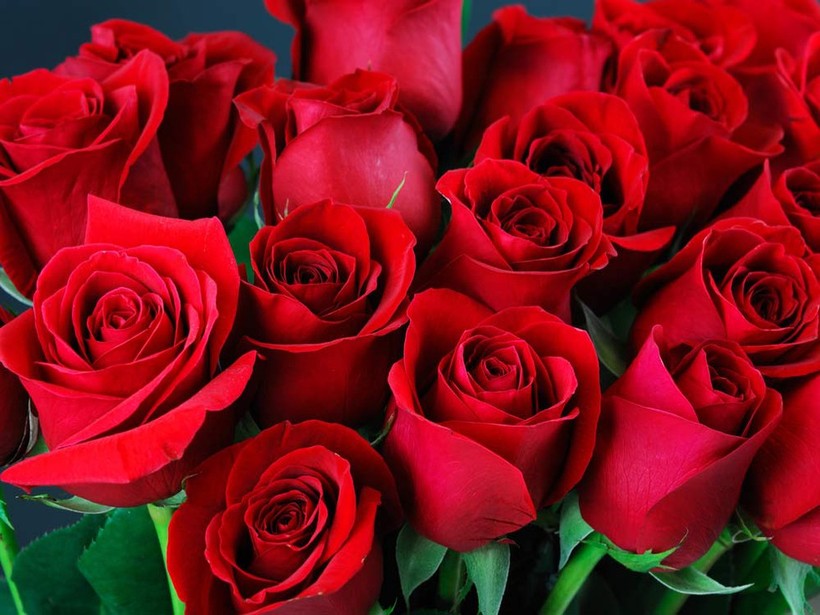 Hoa hồng được sử dụng trong một số sản phẩm làm đẹp. Ảnh minh họa/INT.