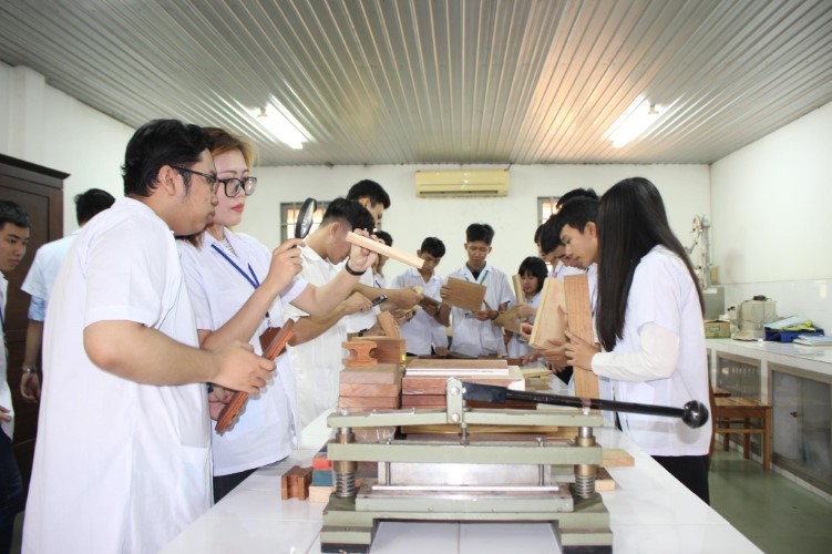 Sinh viên ngành chế biến lâm sản Trường ĐH Nông Lâm TPHCM trong giờ thực hành.
