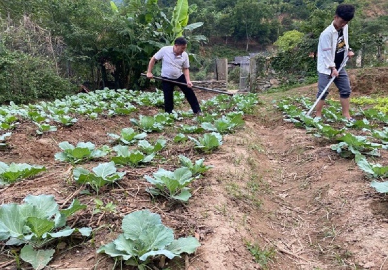 Thầy Nguyễn Công Danh làm vườn cùng học trò.
