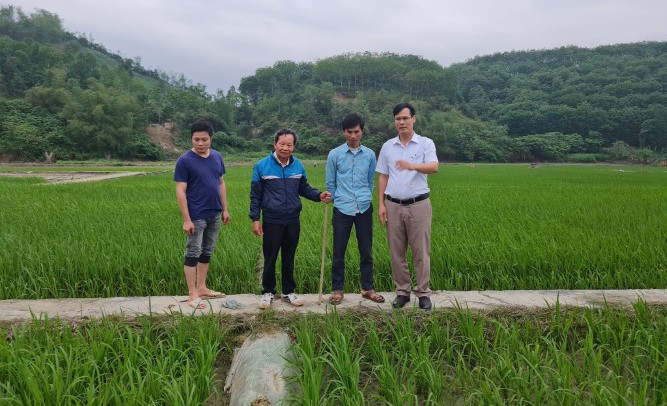 PGS.TS Nguyễn Văn Hoan (người cầm gậy), nguyên Viện trưởng Viện Nghiên cứu Lúa, Học viện Nông nghiệp vẫn miệt mài nghiên cứu các dòng lúa lai.