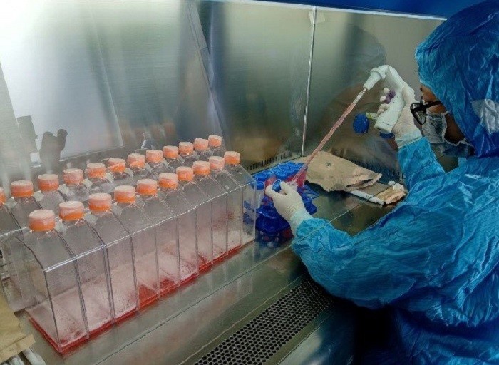 Nhóm nghiên cứu thực hiện việc phối trộn hợp chất để tạo ra vắc-xin trong phòng thí nghiệm.