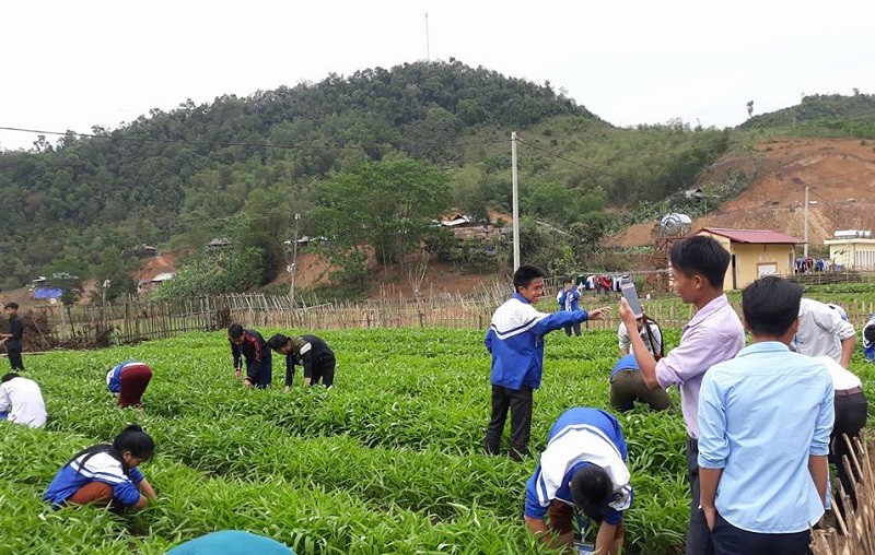 Học sinh Trường THPT Nậm Pồ tham gia lao động tại vườn trường. Ảnh: NTCC