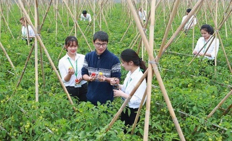 Sinh viên Học viện Nông nghiệp Việt Nam bên vườn thực nghiệm. Ảnh: NTCC