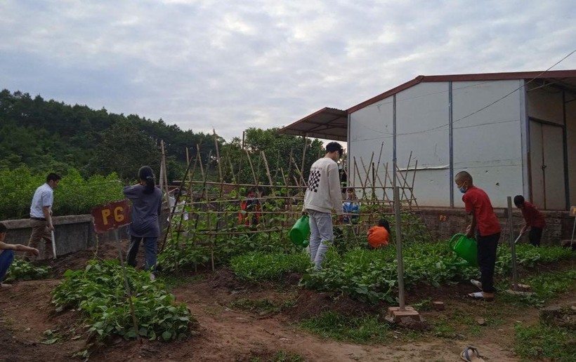 Vườn rau xanh của Trường PTDTBT THCS xã Lâm Ca (Đình Lập, Lạng Sơn) giúp học sinh trải nghiệm và tăng cường thêm cho bữa ăn bán trú. Ảnh: NTCC