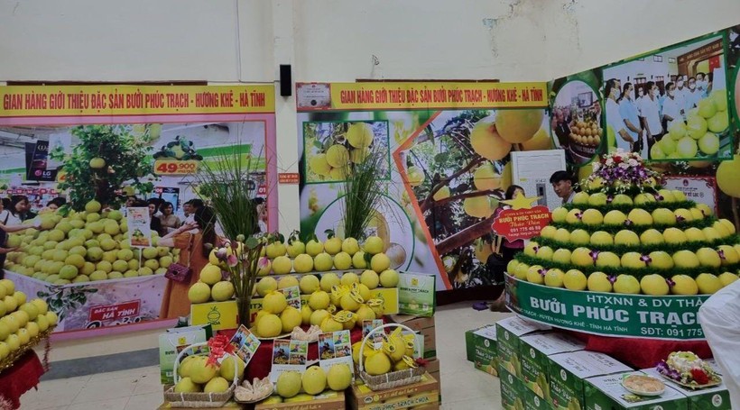 Cần tích cực hơn trong việc đưa nông sản Việt lên sàn thương mại điện tử.